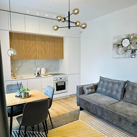 Zaliakalnis Apartment