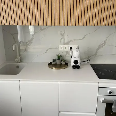 Apartment Zaliakalnis