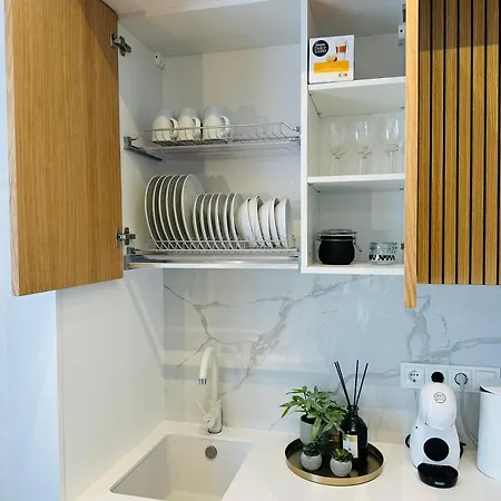 Zaliakalnis Apartment *