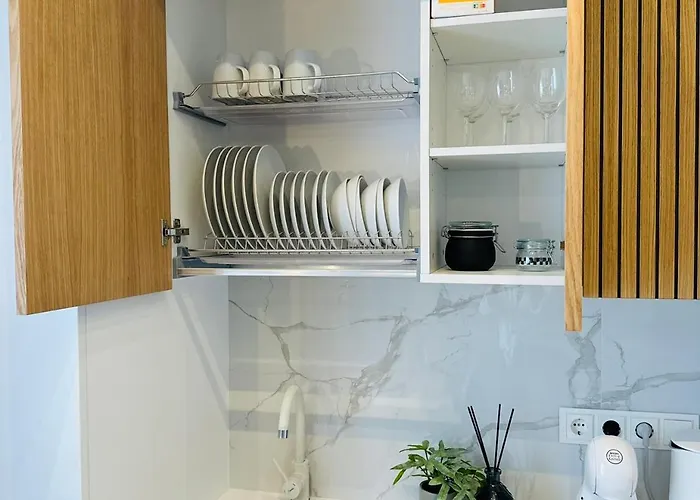 Zaliakalnis アパート *